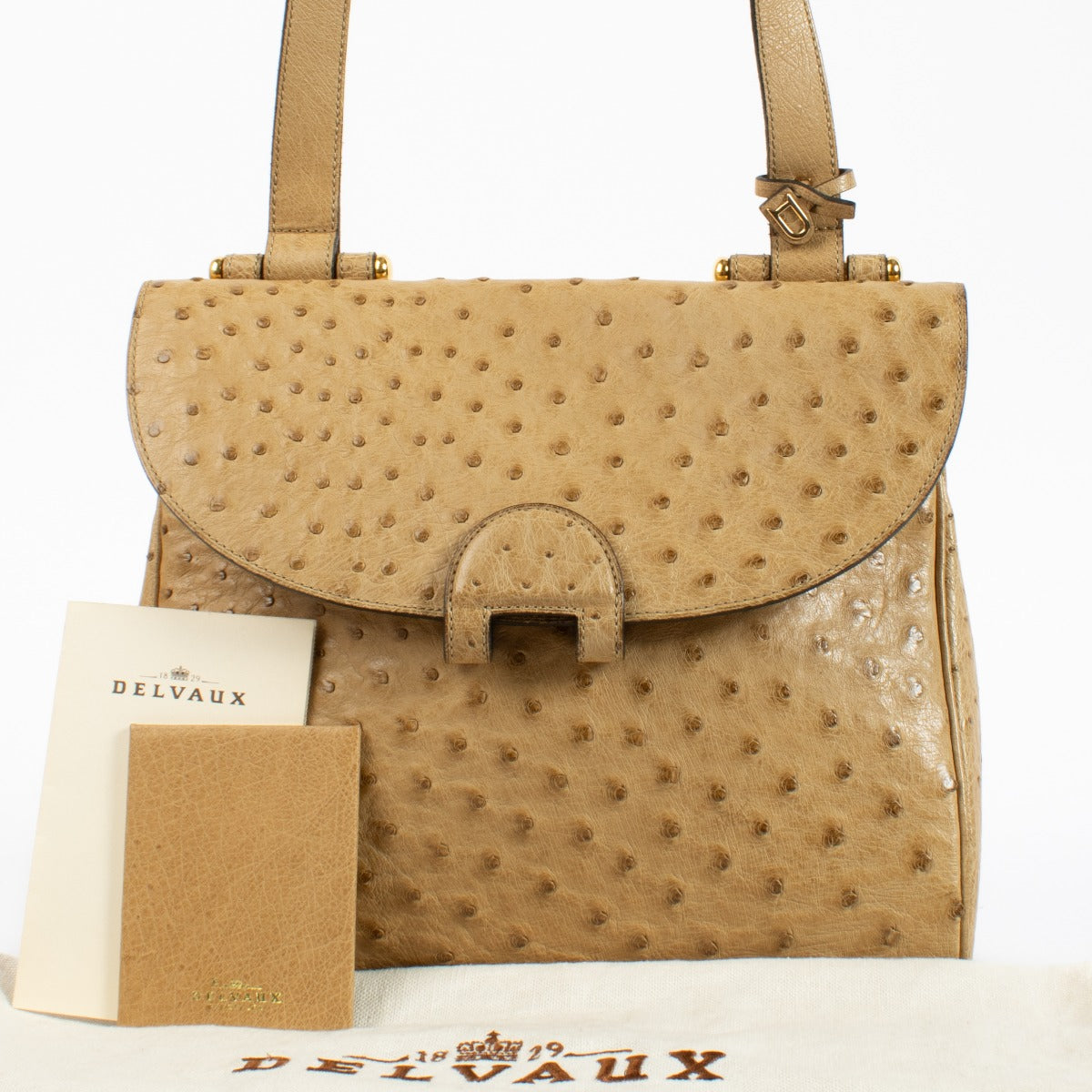 Delvaux Sahara Ostrich Impromptu Bag