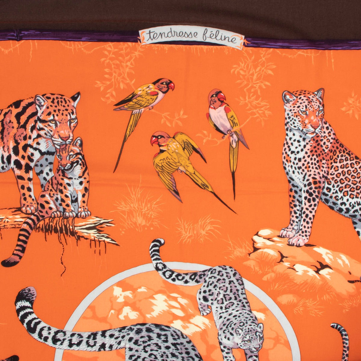 Hermès Tendresse Feline Cashmere/Silk Scarf
