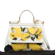 Original Dolce & Gabbana Lemon Multicolor Crossbody Bag in really good condition for sale on Labellov vintage site for 2nd hand designer goods