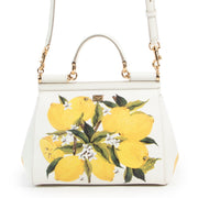 Original Dolce & Gabbana Lemon Multicolor Crossbody Bag in really good condition for sale on Labellov vintage site for 2nd hand designer goods