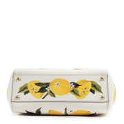 Original Dolce & Gabbana Lemon Multicolor Crossbody Bag in really good condition for sale on Labellov vintage site for 2nd hand designer goods