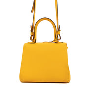 Shop safe online at Labellov this 100% authentic second hand Delvaux Brillant Mini Safran Rodeo Calf