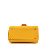 Shop safe online at Labellov this 100% authentic second hand Delvaux Brillant Mini Safran Rodeo Calf