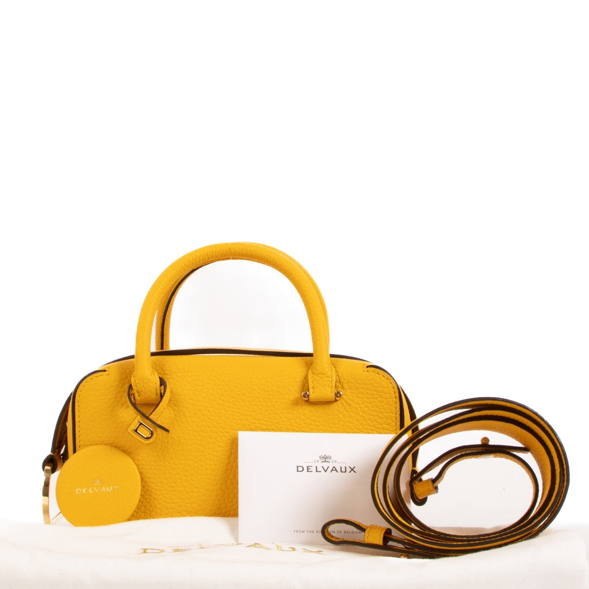 Delvaux Cool Box Mini Chutney Taurillon Soft