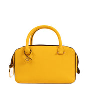 Delvaux Cool Box Mini Chutney Taurillon Soft