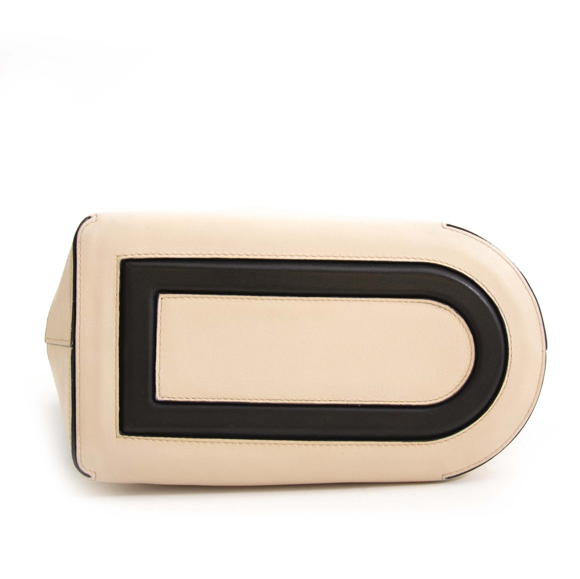 Delvaux Every D Hobo PM Allure Bicolore Noir-Nude