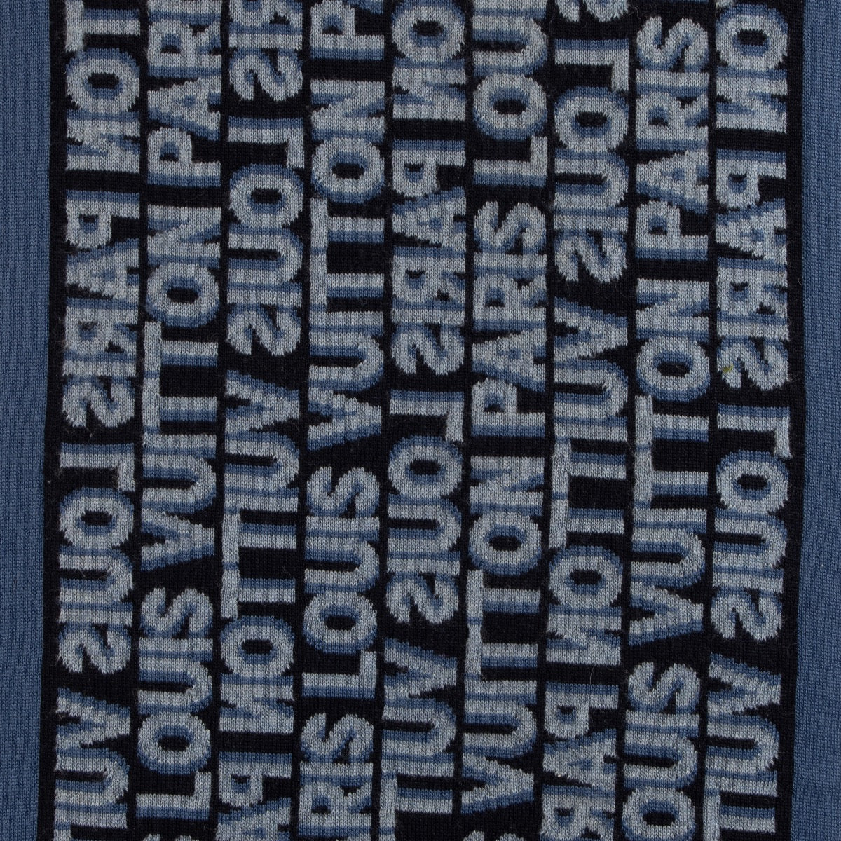 Shop 100% authentic second-hand Louis Vuitton Blue Logo Scarf on Labellov.com