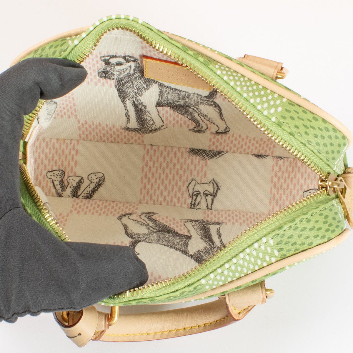 Louis Vuitton door Tyler, the Creator Nano Porte Documents Voyage