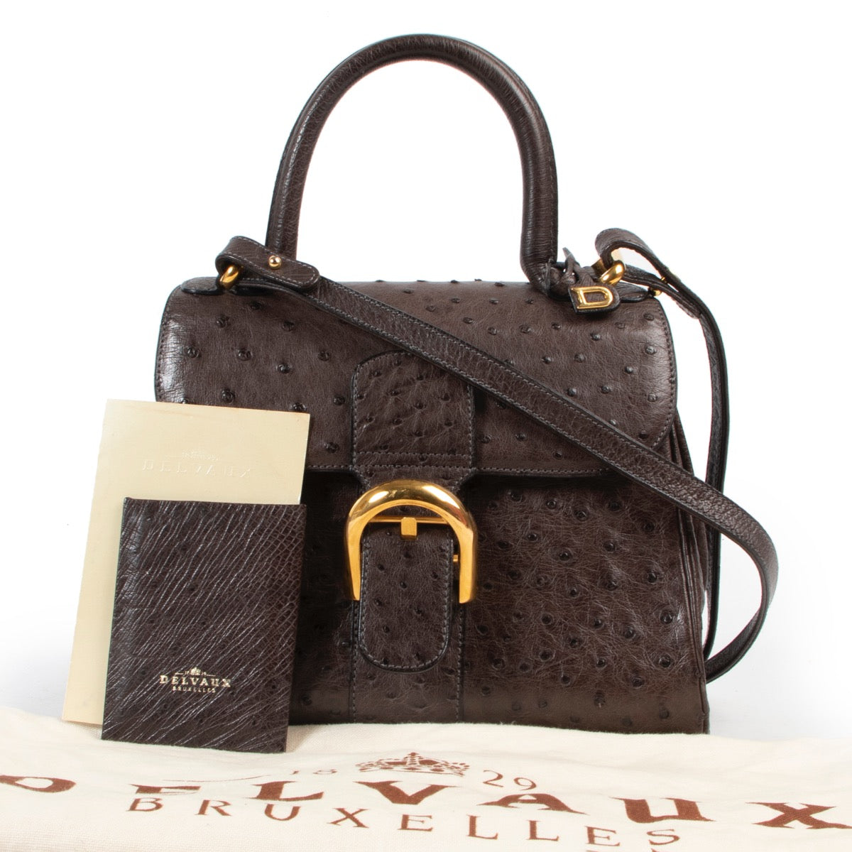 Delvaux Taupe Brillant PM Ostrich available at Labellov Antwerp for a fair and reasonable price online or in store. Step by and shop designer items such as the Delvaux Brillants.