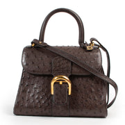 Delvaux Taupe Brillant PM Ostrich available at Labellov Antwerp for a fair and reasonable price online or in store. Step by and shop designer items such as the Delvaux Brillants.