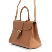 Delvaux Fauve Brillant MM + Strap