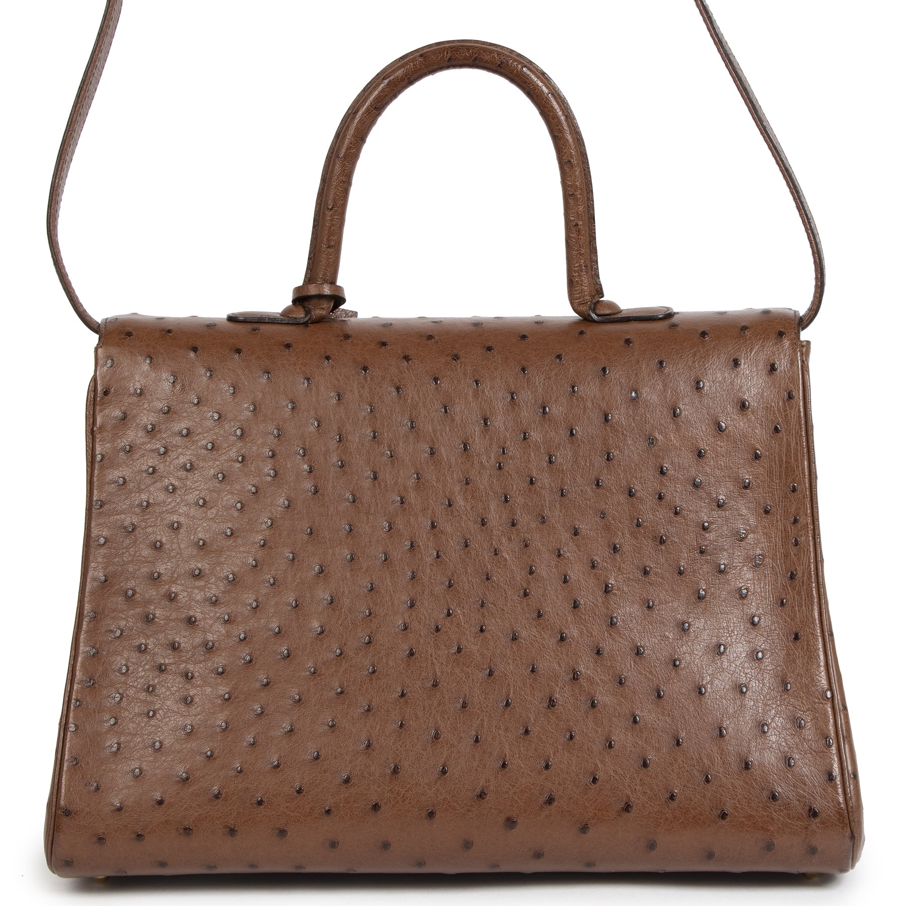 Delvaux Brillant GM Autruche Marron