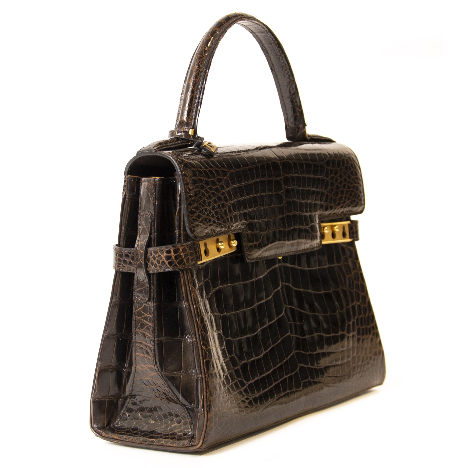 Delvaux Bruine Croco Tempête MM Tas