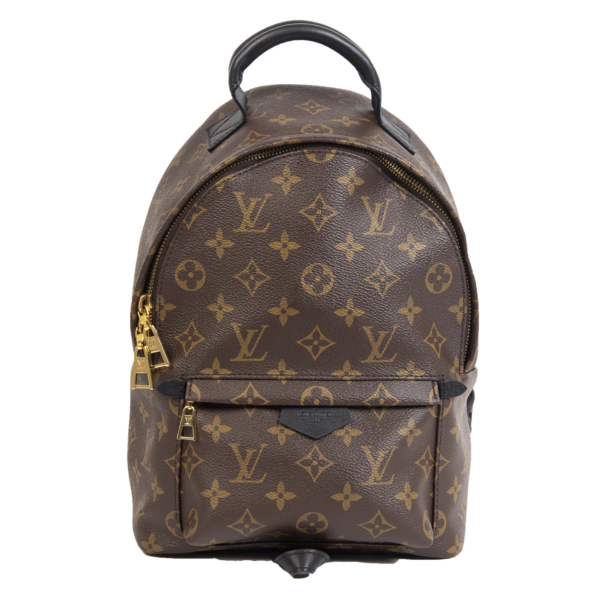Louis Vuitton Palm Springs PM Backpack