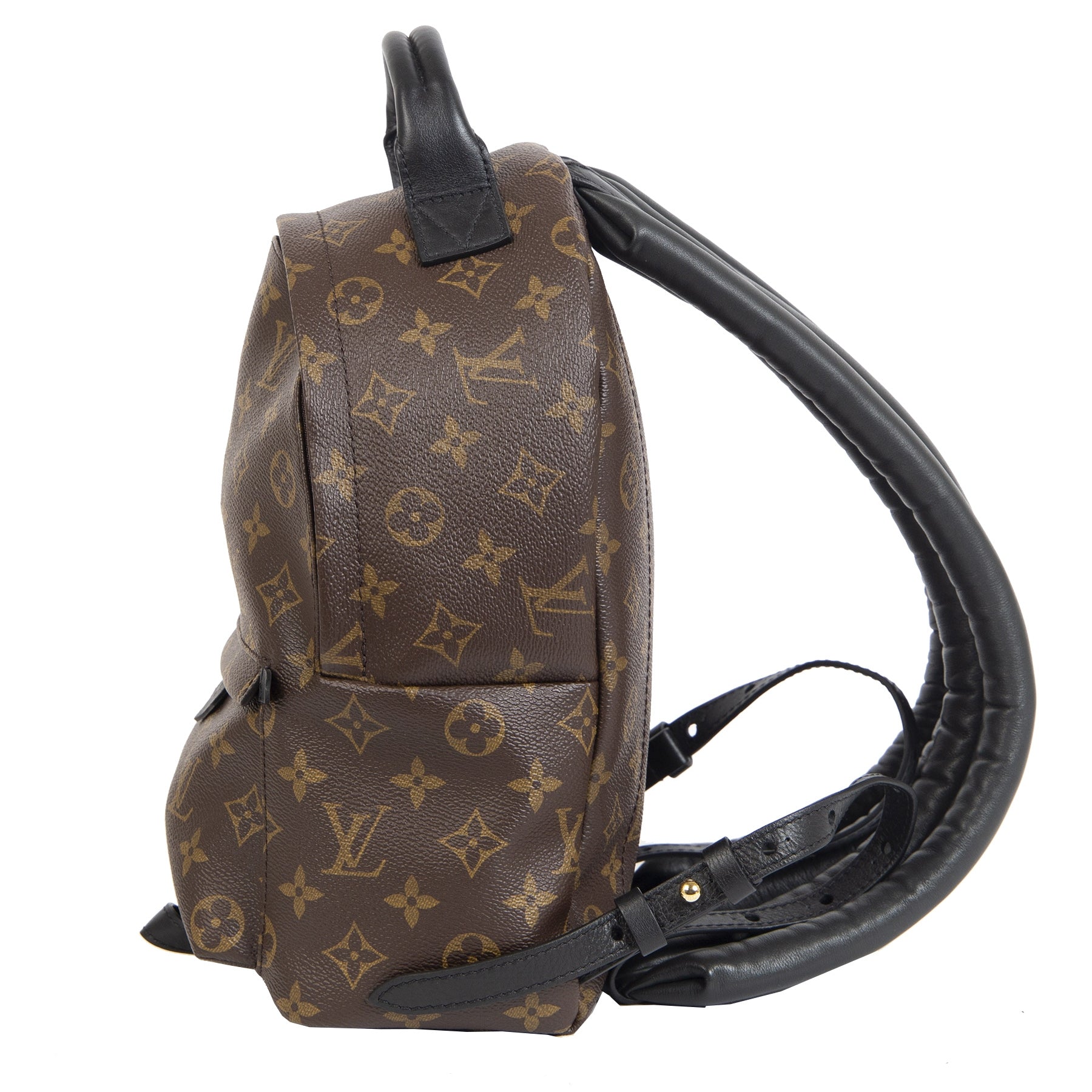 Louis Vuitton Palm Springs PM Backpack