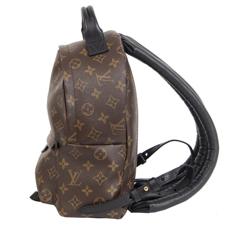 Louis Vuitton Palm Springs PM Backpack