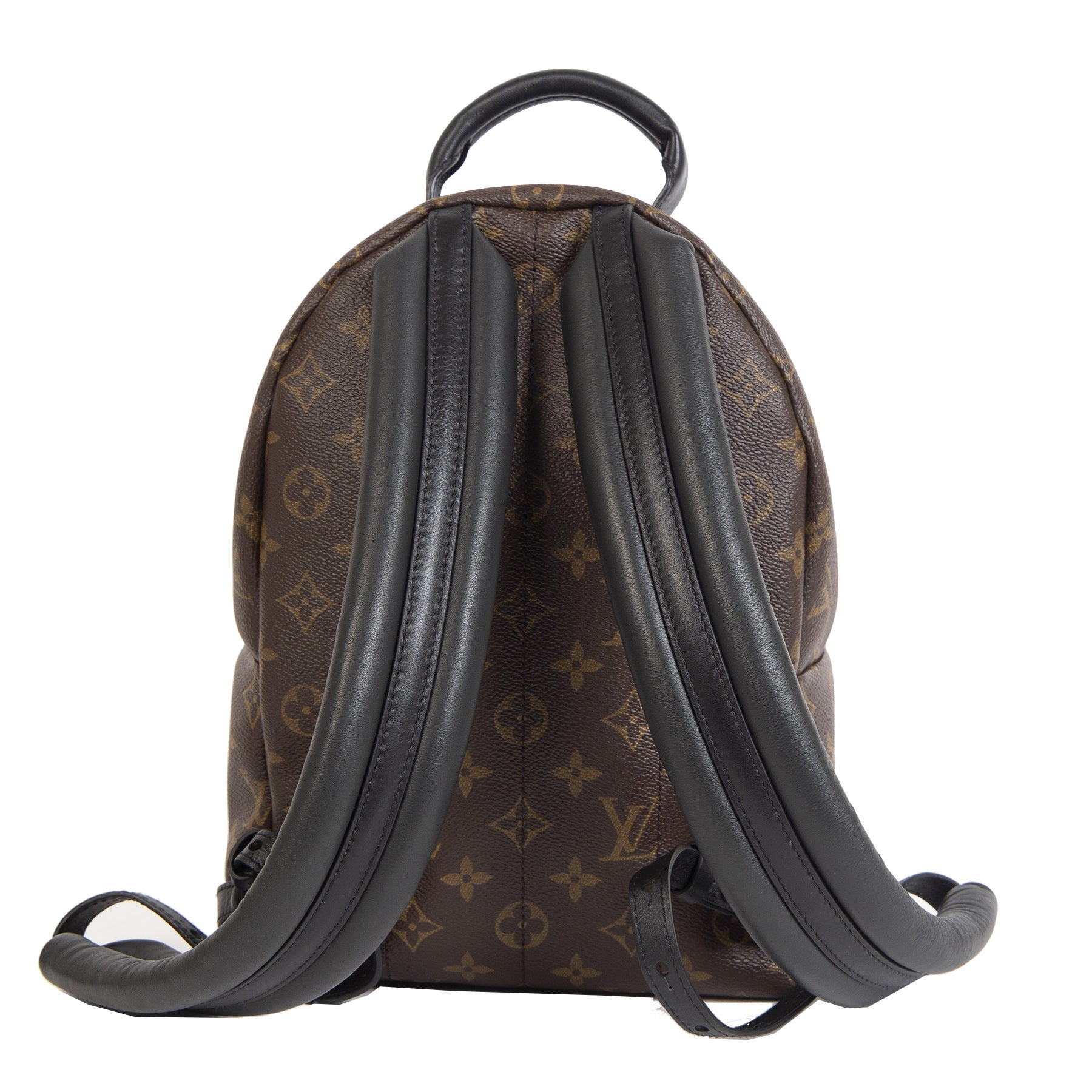 Louis Vuitton Palm Springs PM Backpack