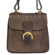 Delvaux Brillant XS Chestnut Exotic Leather Crossbody Bag