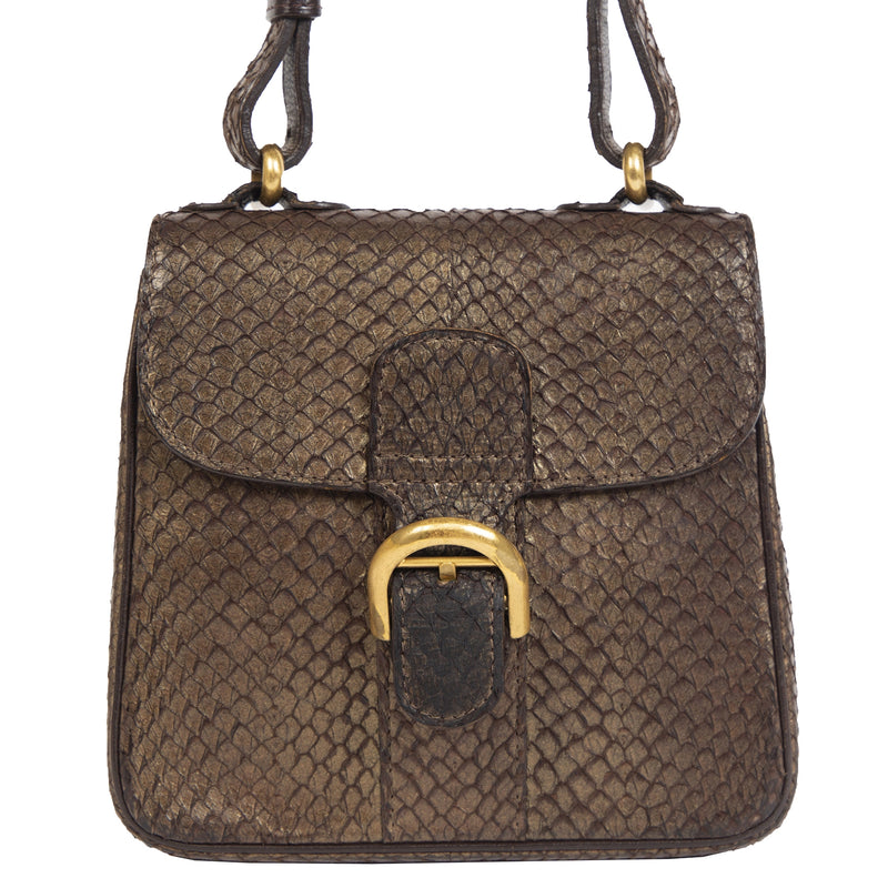 Delvaux Brillant XS Chestnut Exotic Leather Crossbody Bag