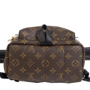Louis Vuitton Palm Springs PM Backpack