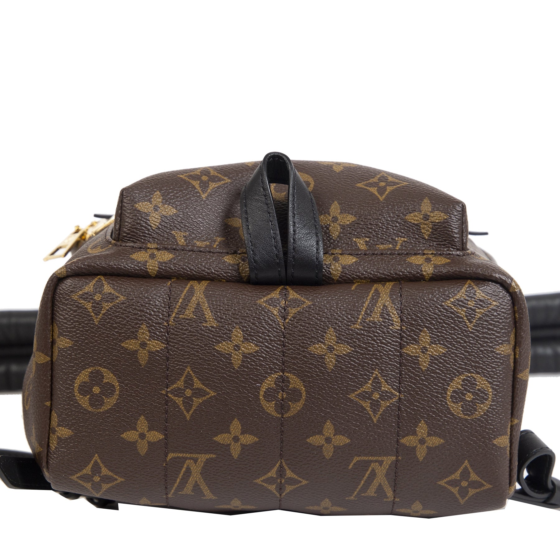Louis Vuitton Palm Springs PM Backpack