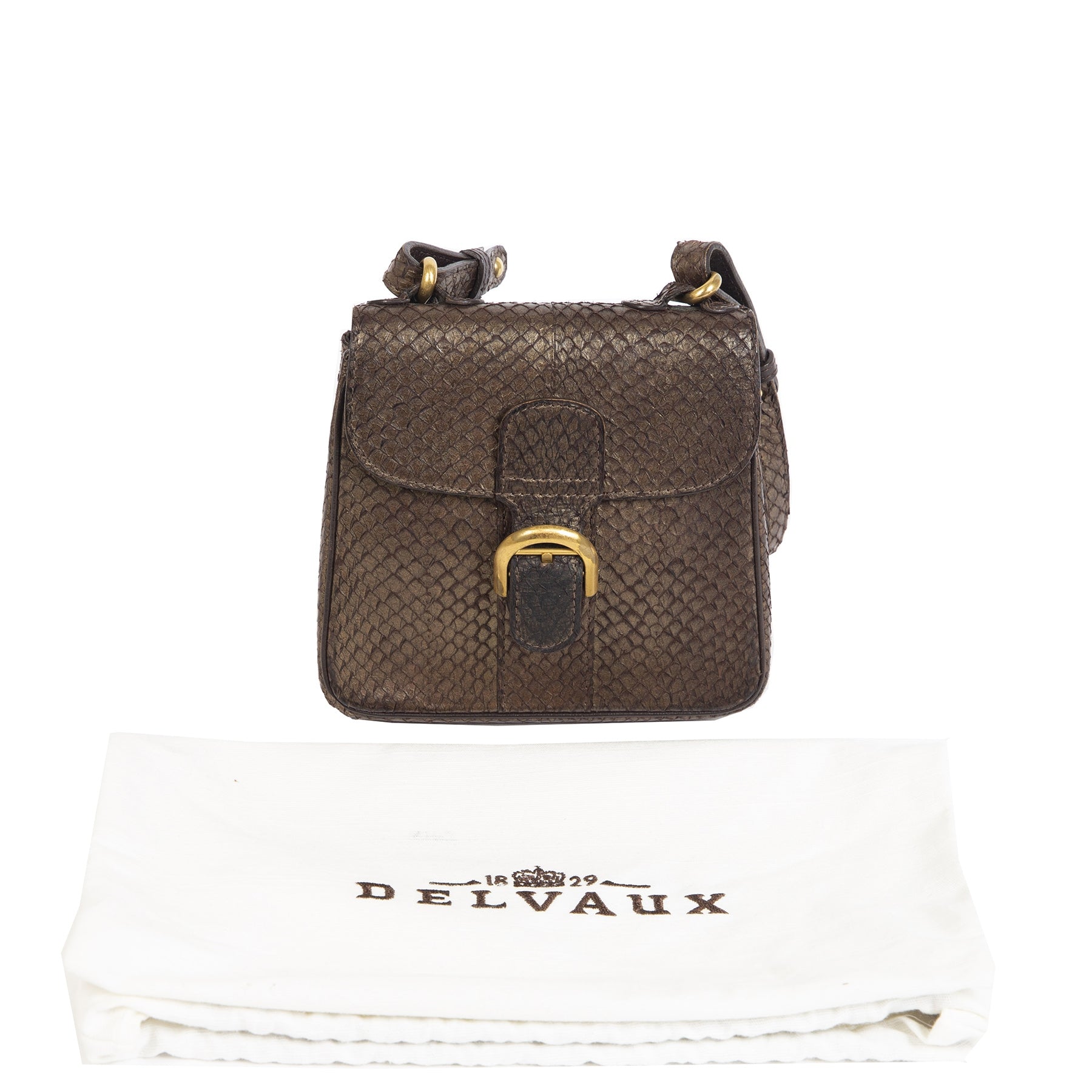 Delvaux Brillant XS Chestnut Exotic Leather Crossbody Bag