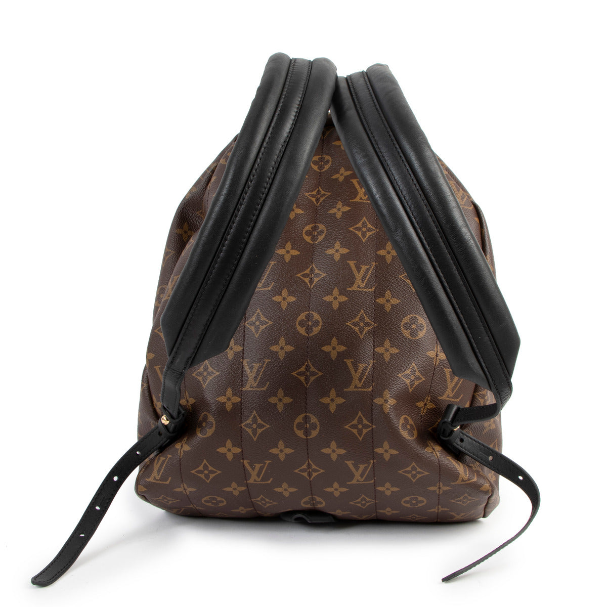 Louis Vuitton Palm Springs MM Monogram Canvas Rugzak