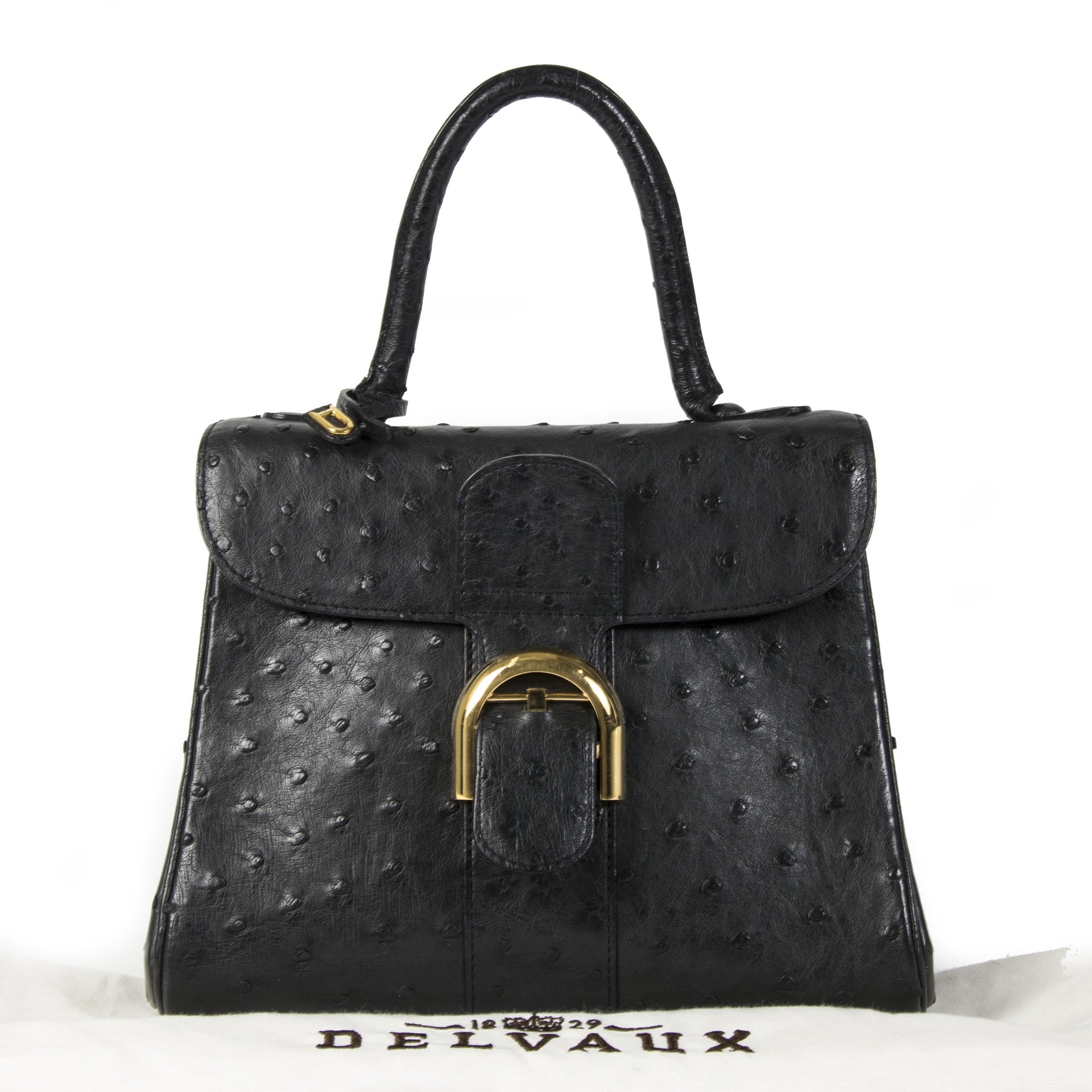 Authentique seconde main vintage Delvaux Blue Brillant Ostrich PM Bag achète en ligne webshop LabelLOV