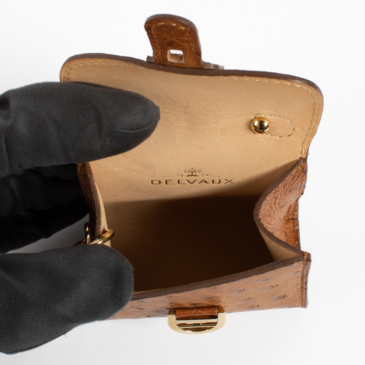 Authentic second hand Delvaux Brown Ostrich Brillant Bag Charm on Labellov.com