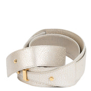 Delvaux Mutin Silver Leather Cross Body Bag