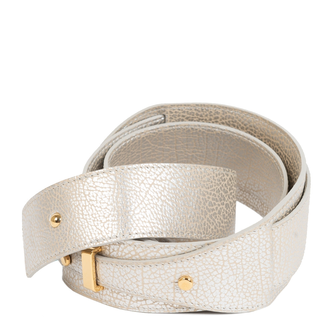 Delvaux Mutin Silver Leather Cross Body Bag