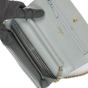 shop 100% authentic second hand Chanel Blue Python Leather Wallet On Chain on Labellov.com