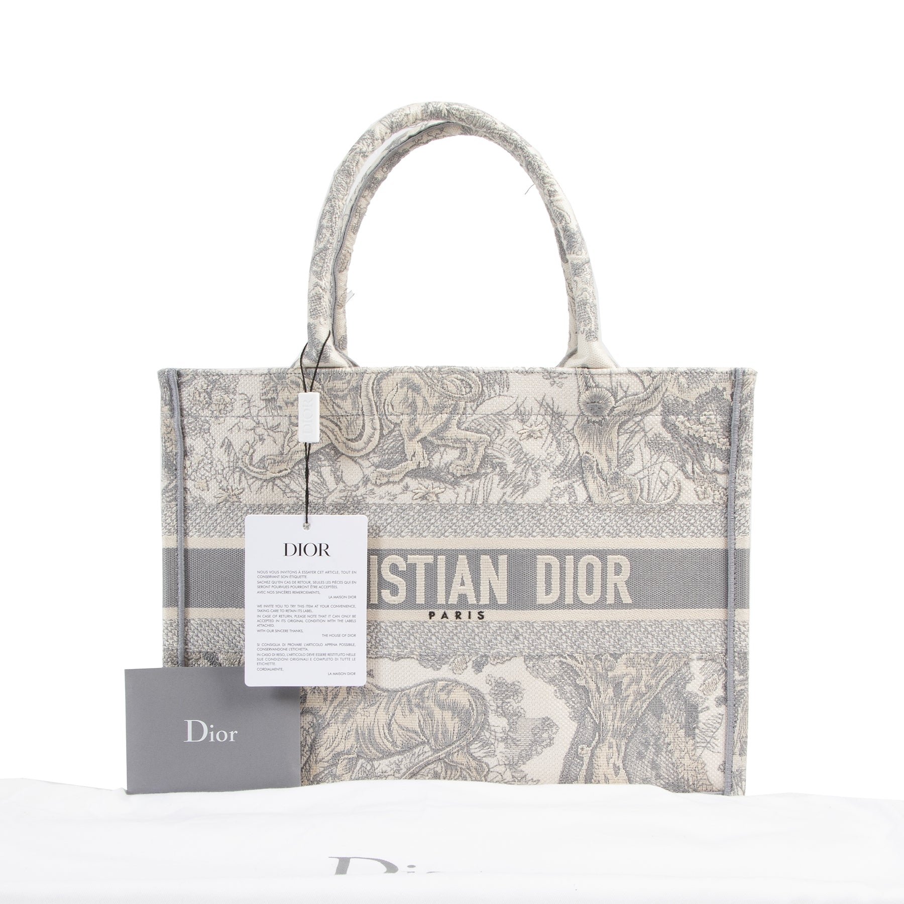 Christian Dior Small Dioriviera Dior Book Tote