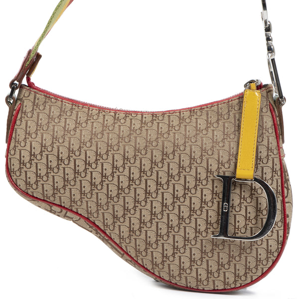 Christian Dior Multicolor Rasta Trotter Canvas Saddle Bag – Labellov