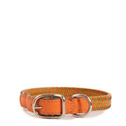 Hermès Orange and Green Dog Collar