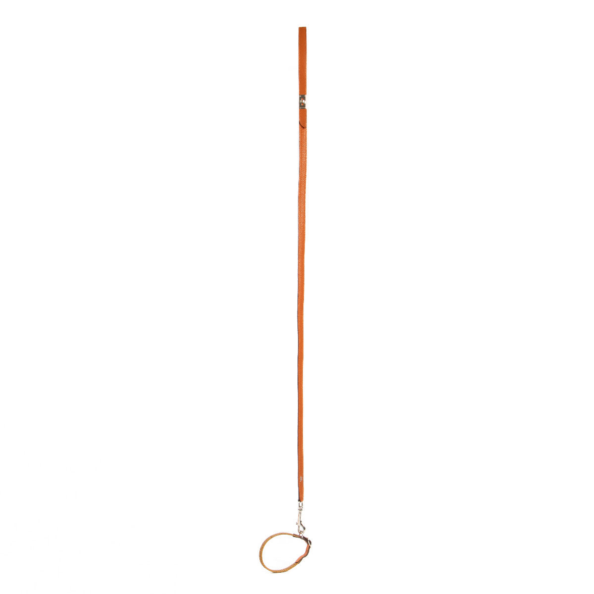 Hermès Multicolor Leather Dog Leash and Collar