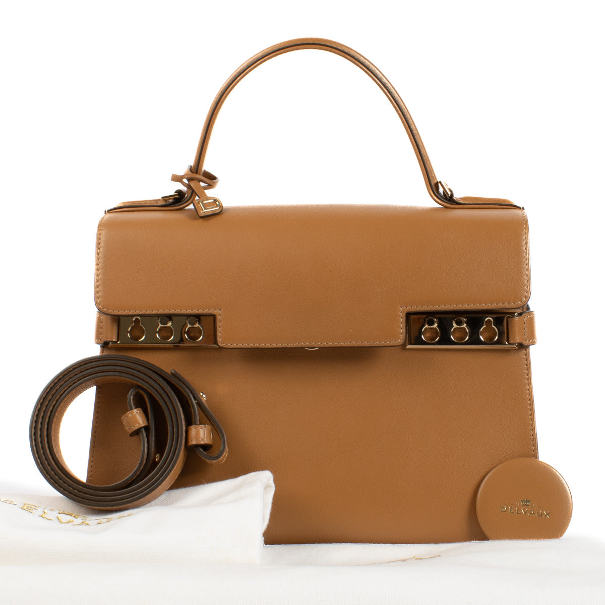 Delvaux Vetegal Calf Souple Tempête MM Bag