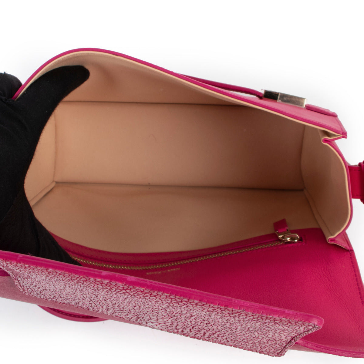 Delvaux Madame Rose Indien Polo & Galuchat
