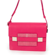 Delvaux Madame Rose Indien Polo & Galuchat