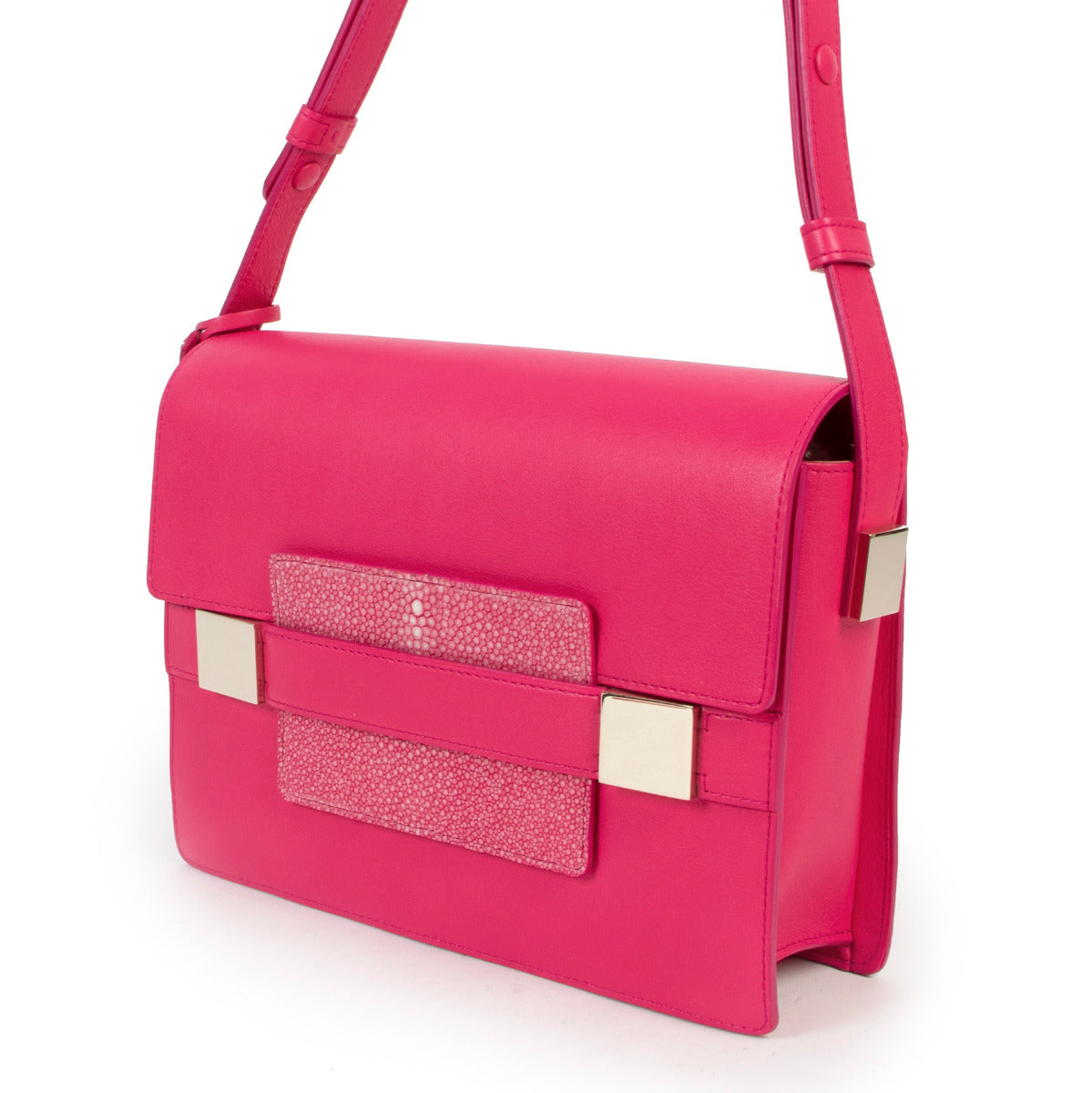 Delvaux Madame Rose Indien Polo & Galuchat