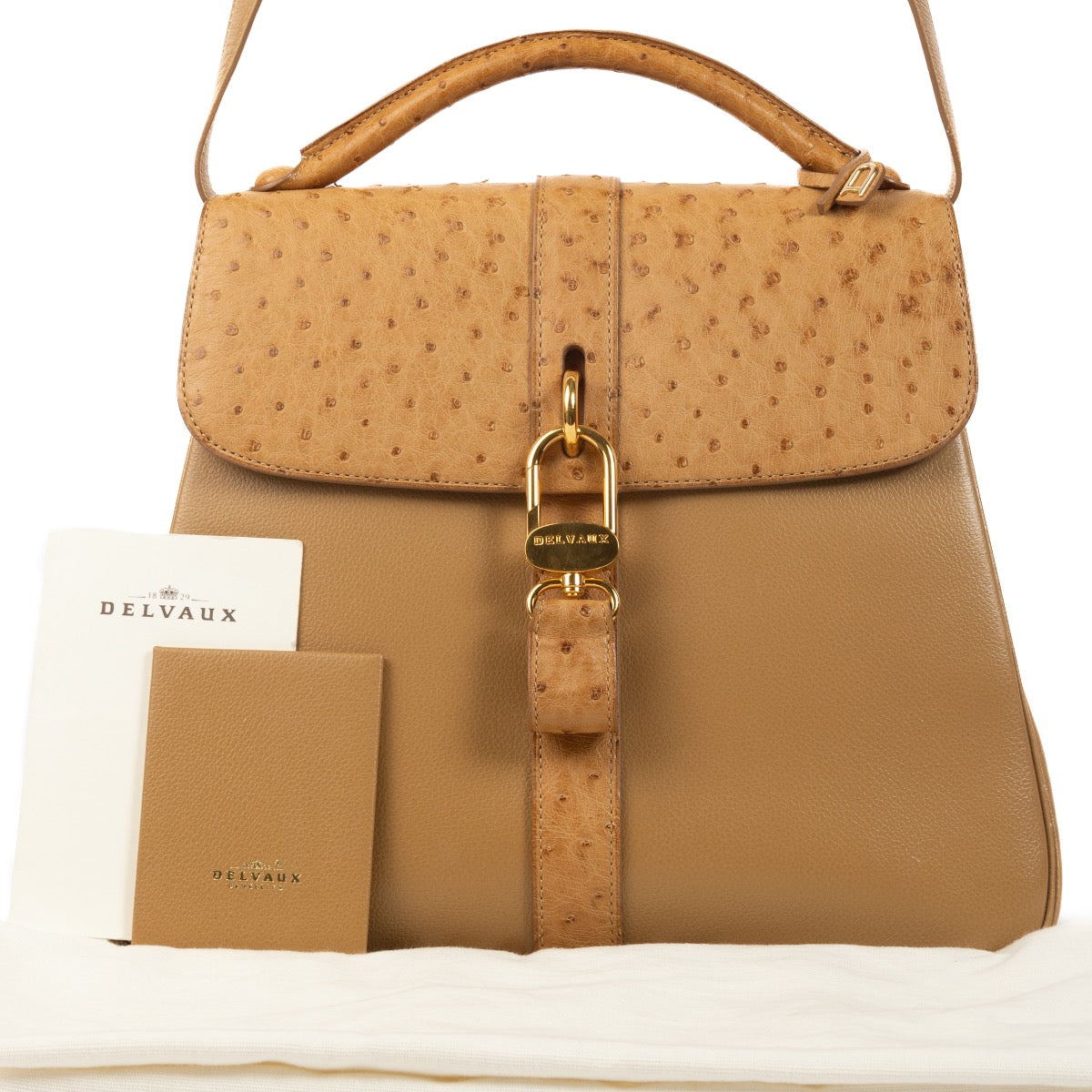 Delvaux Ostrich Sahara Gin Fizz Shoulder Bag