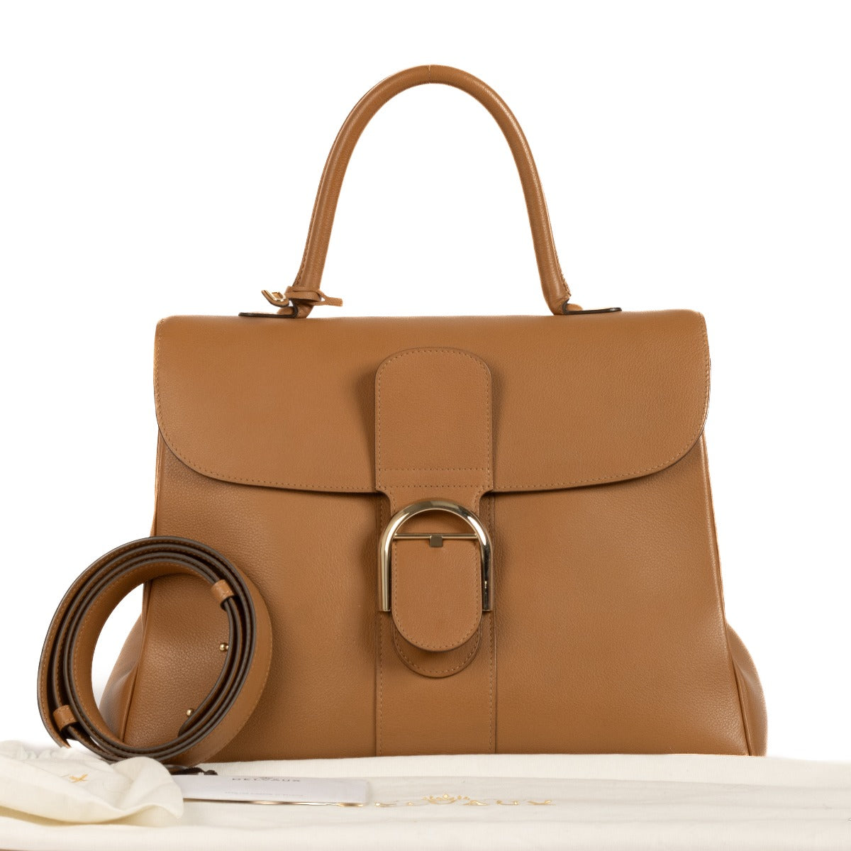 Delvaux Végétal Sellier Brillant GM Bag