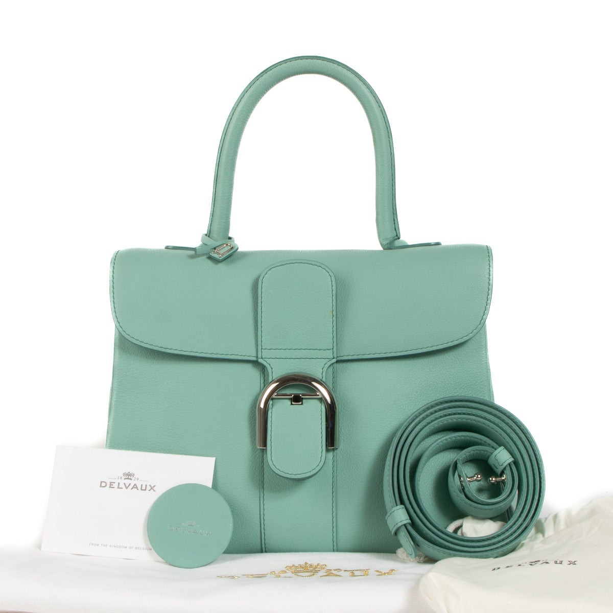 Delvaux Lagon Sellier Brillant MM Bag