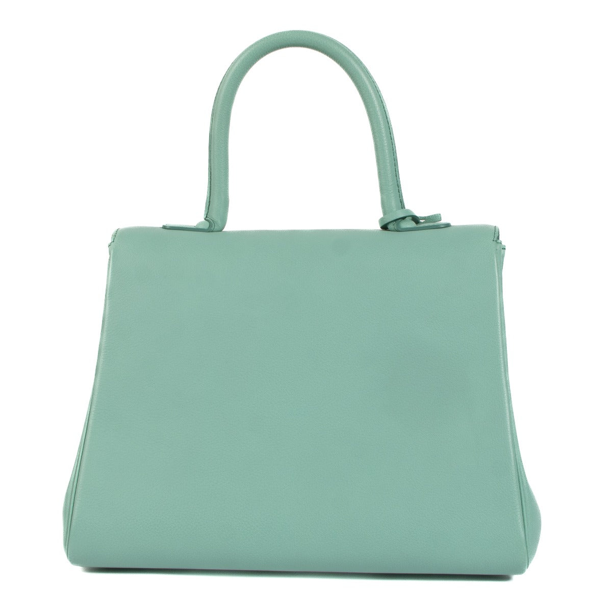 Delvaux Lagon Sellier Brillant MM Tas