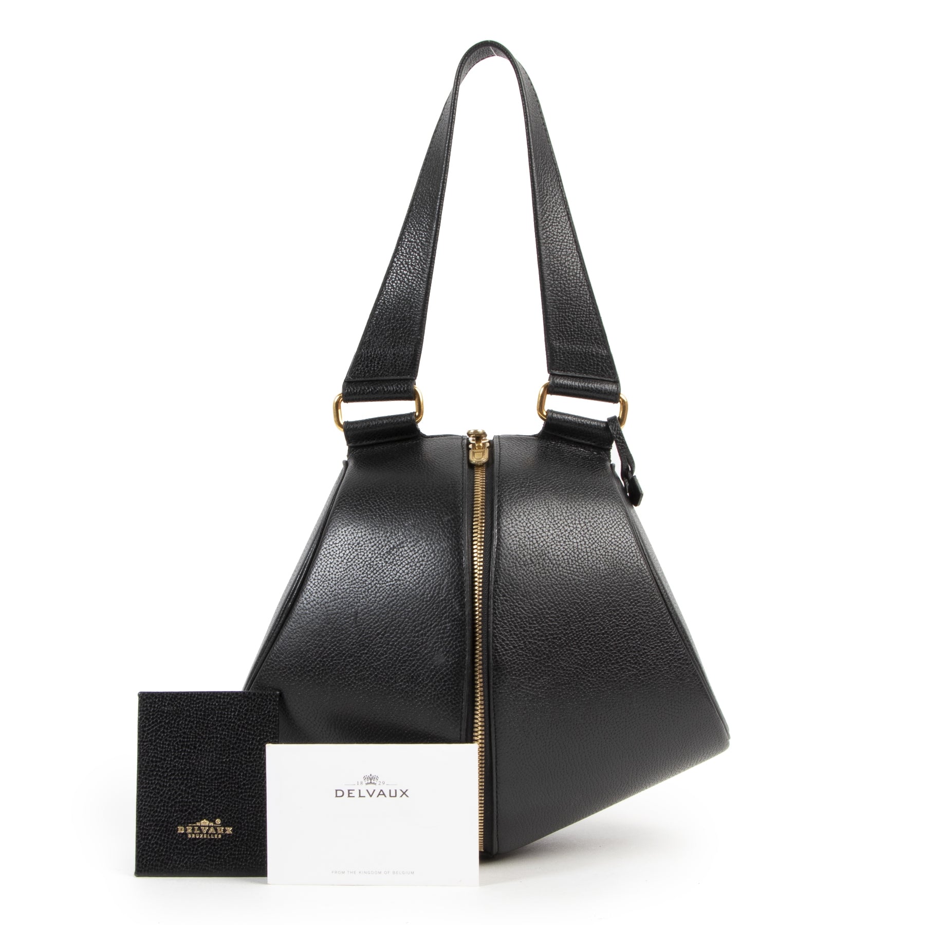 Delvaux Black Leather Zipper Bag