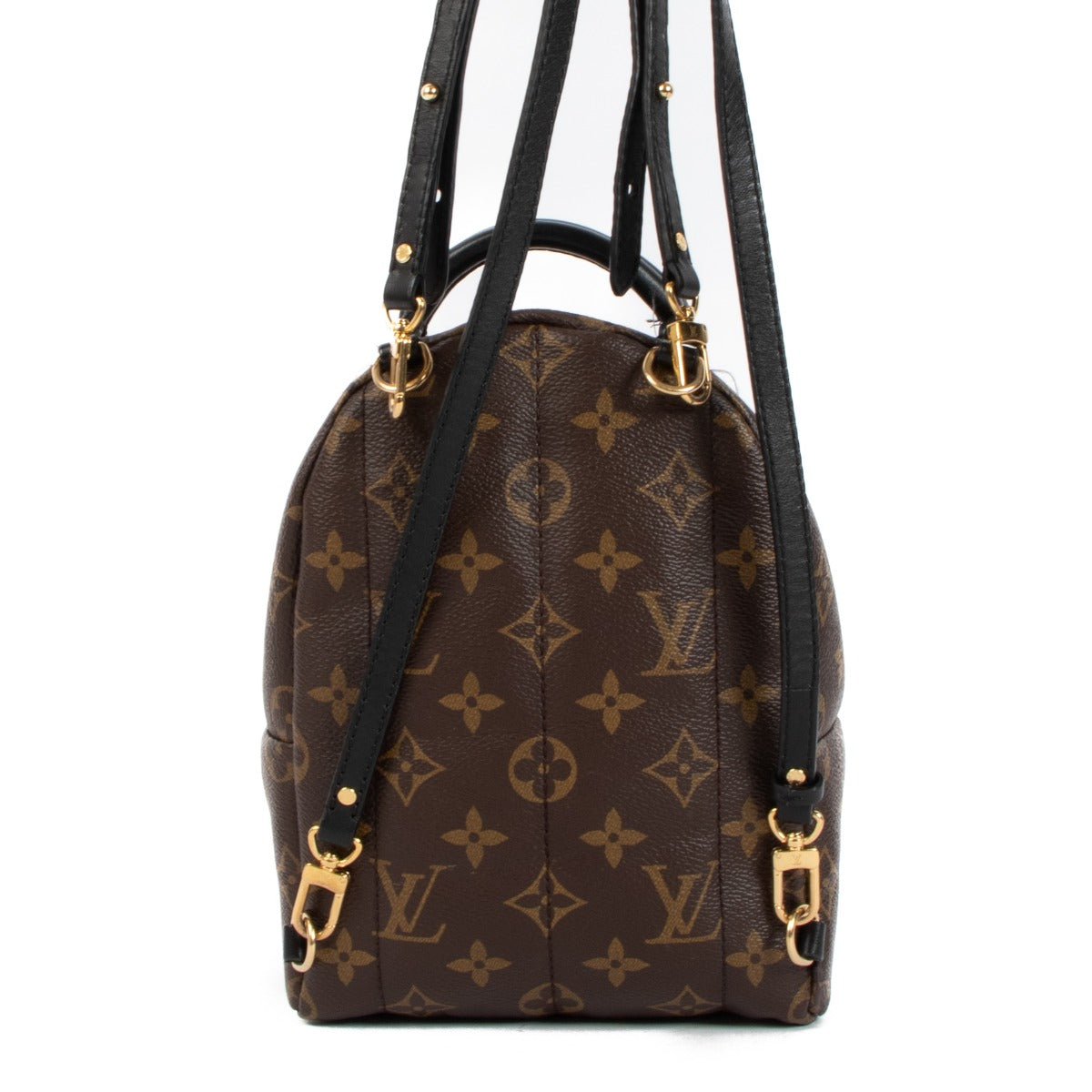 Louis Vuitton Monogram Canvas Palm Springs Mini Rugzak