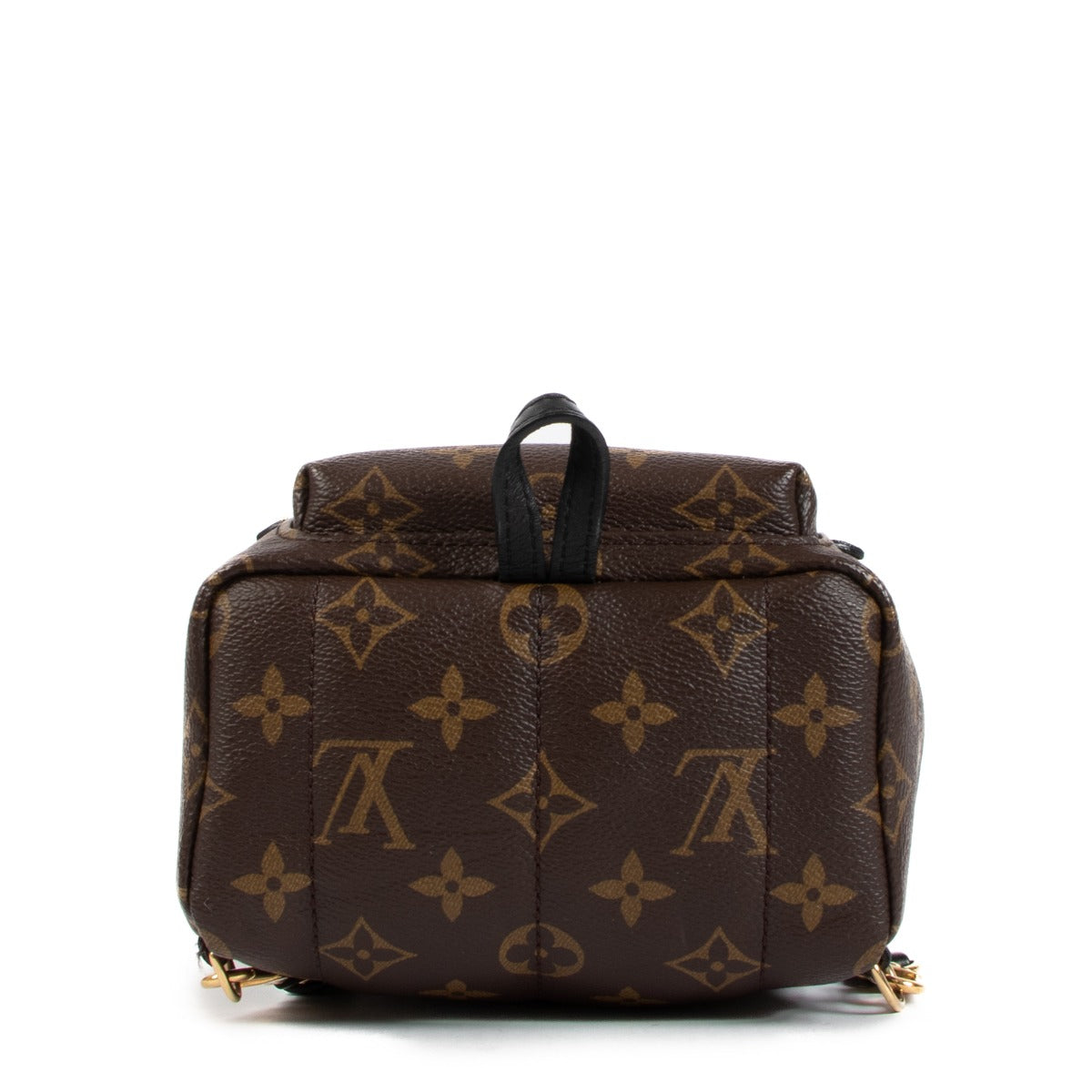 Louis Vuitton Monogram Canvas Palm Springs Mini Rugzak