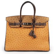 Hermès Birkin 35 Tricolore Autruche Doublure Chevre Pigmente PHW