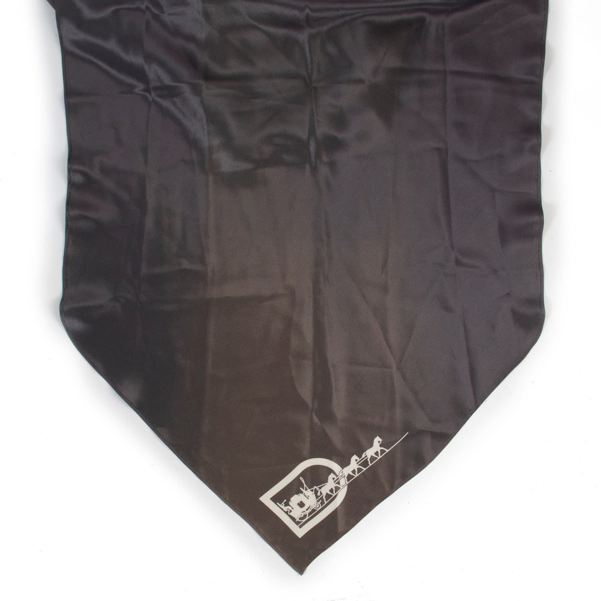 Delvaux Grey Silk Scarf