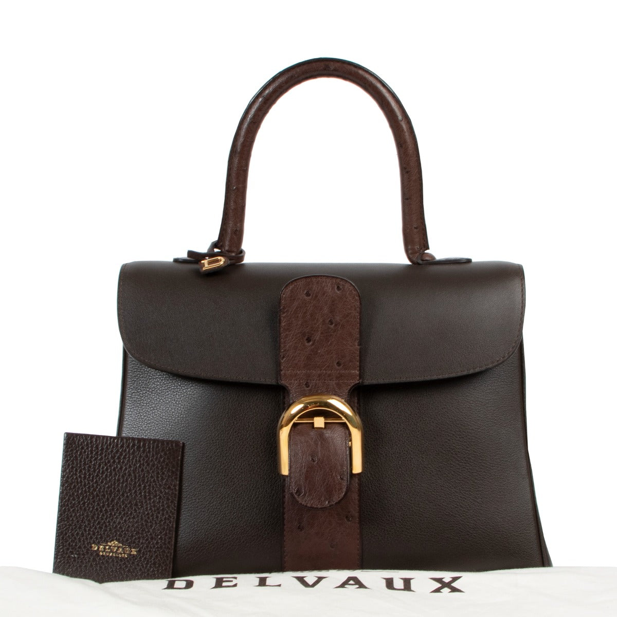 Delvaux Brillant MM Brown Ostrich/Calfskin Leather Handbag